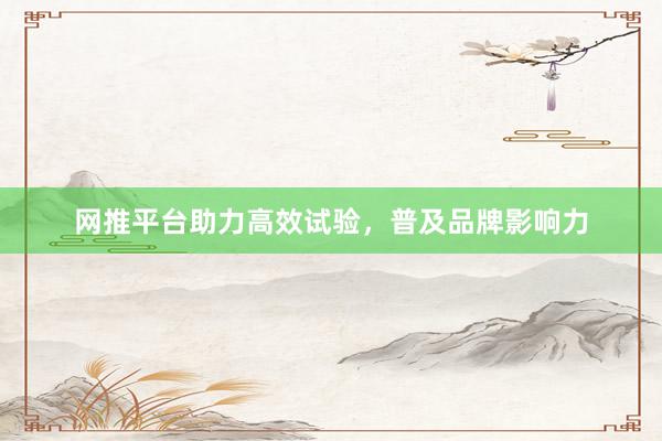 网推平台助力高效试验，普及品牌影响力