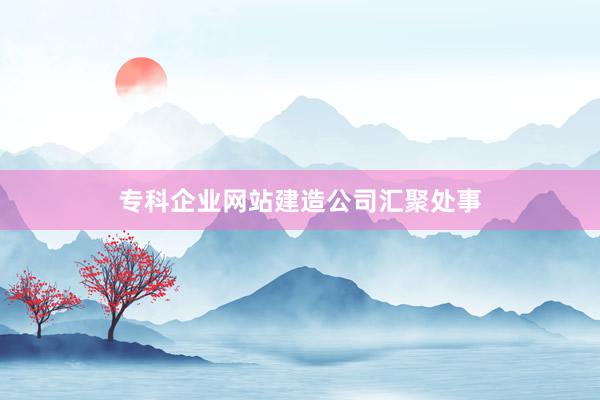 专科企业网站建造公司汇聚处事