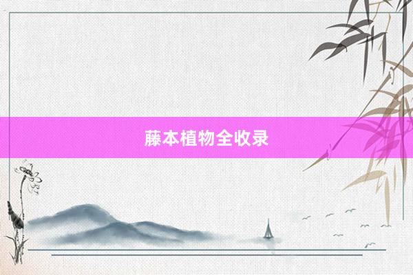 藤本植物全收录